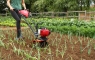 PUBERT Micro tiller MB 25H - kultivátor PUBERT Micro tiller MB 25H - kultivátor
